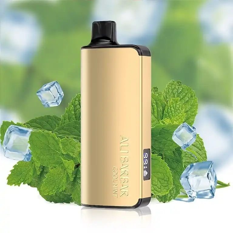 ALIBARBAR INGOT MIAMI MINT – 9000 PUFFS